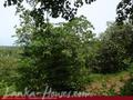 Land on the lake in Panadura