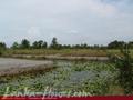 Land on the lake in Panadura