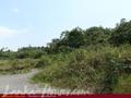 Land on the lake in Panadura