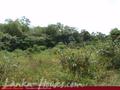 Land on the lake in Panadura