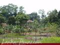 Land on the lake in Panadura