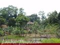 Land on the lake in Panadura