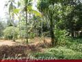 Land on the lake in Panadura