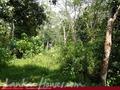 Land on the lake in Panadura