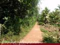 Land on the lake in Panadura