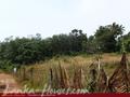 Land on the lake in Panadura