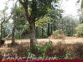 Land on the lake in Panadura