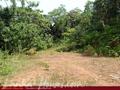 Land on the lake in Panadura
