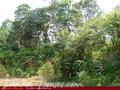 Land on the lake in Panadura