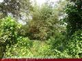 Land on the lake in Panadura