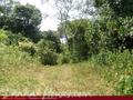 Land on the lake in Panadura