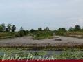 Land on the lake in Panadura