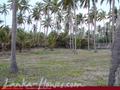 Beach Land with house