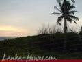 Beach Land with house