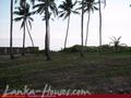 Beach Land with house