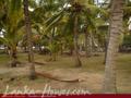 Beach Land with house