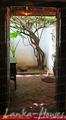 SECRET GARDEN Villa