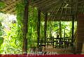 SECRET GARDEN Villa