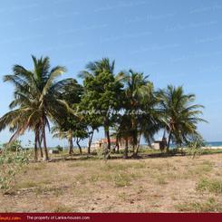 Beach property in Nilaveli