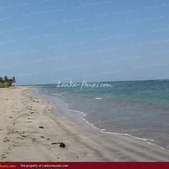 Huge beach land for sale in Pasicuda