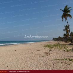 Huge beach land in Nilaveli
