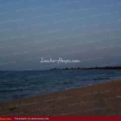 Huge land on the beach with 1000 palms