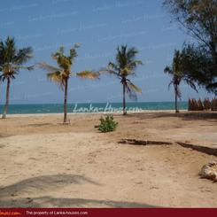 Beach land in Arugam Bay