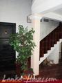 COLONIAL HOUSE