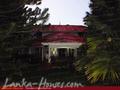 COLONIAL HOUSE