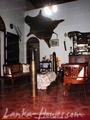 COLONIAL HOUSE