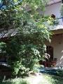 NICE PLACE Restaurant &amp; Bungalows