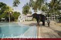 VILLA OCEAN VIEW HOTEL ****