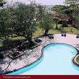 THE PALMS HOTEL****
