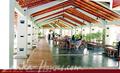 THE PALMS HOTEL****