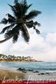 DICKWELLA VILLAGE RESORT****
