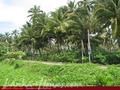 Beach front land with house in Habaraduwa