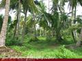 Beach front land with house in Habaraduwa