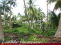 Beach front land with house in Habaraduwa