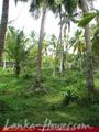 Beach front land with house in Habaraduwa