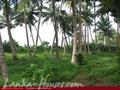 Beach front land with house in Habaraduwa