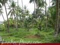 Beach front land with house in Habaraduwa
