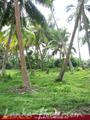 Beach front land with house in Habaraduwa