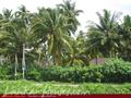Beach front land with house in Habaraduwa