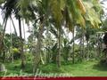 Beach front land with house in Habaraduwa