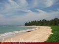 Beach front land with house in Habaraduwa