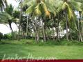 Beach front land with house in Habaraduwa