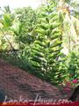 BOGAN VILLA REST