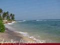 BOGAN VILLA REST