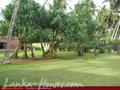 Unawatuna ROCKS Villa