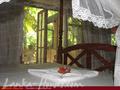 PALM GROVE Guesthouse